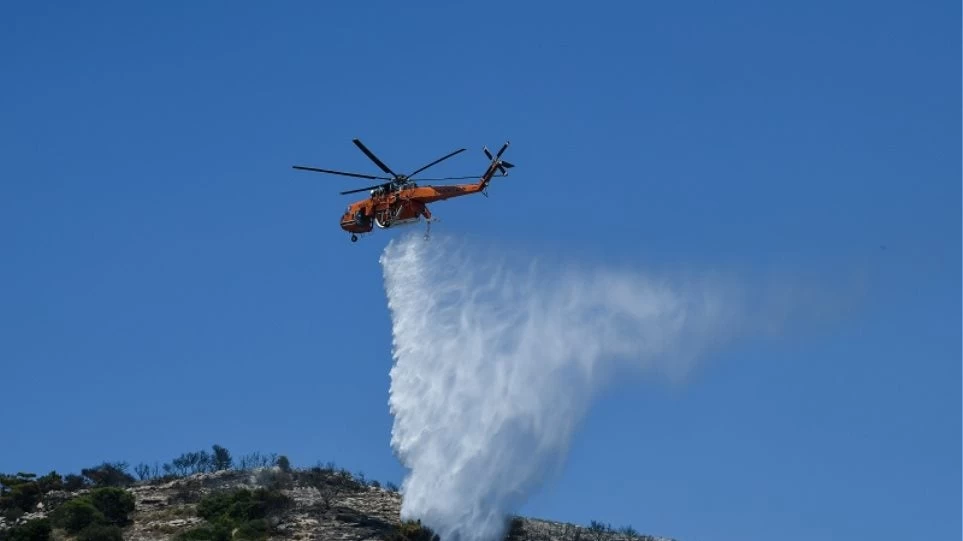 Πυρκαγιά στο Λαγονήσι: Συλλήψεις για εμπρησμό